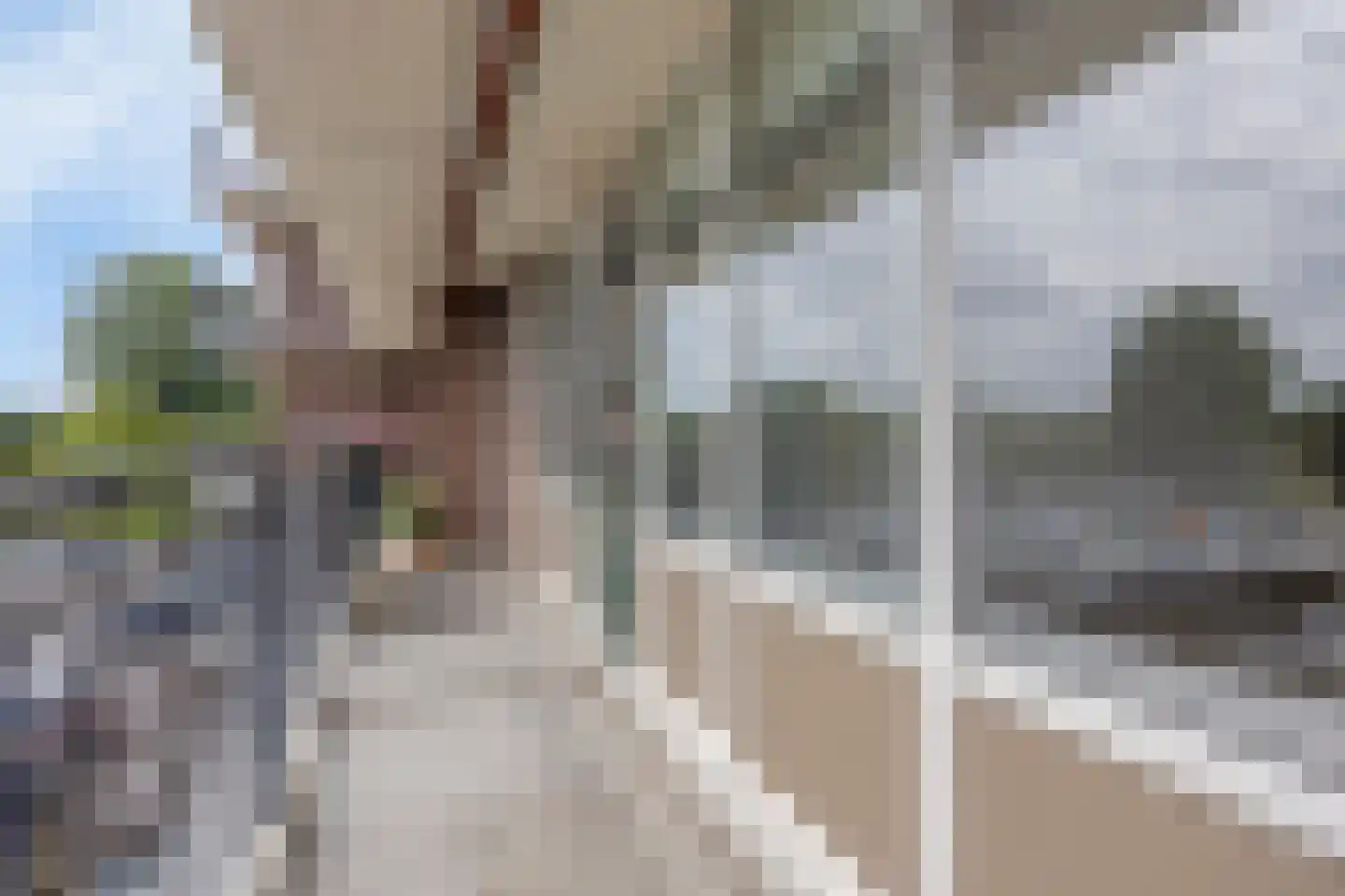 Rodelaan 139 Voorburg thumbnail 12