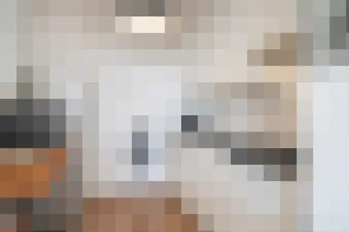 Rodelaan 151 Voorburg thumbnail 18