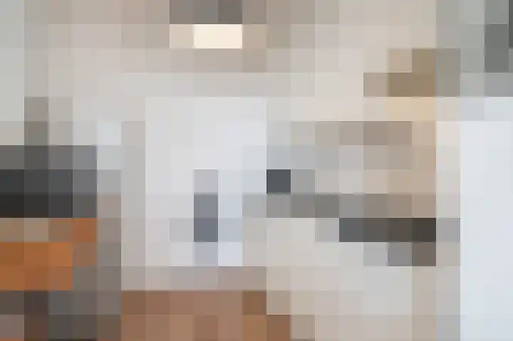 Rodelaan 151 Voorburg thumbnail 4