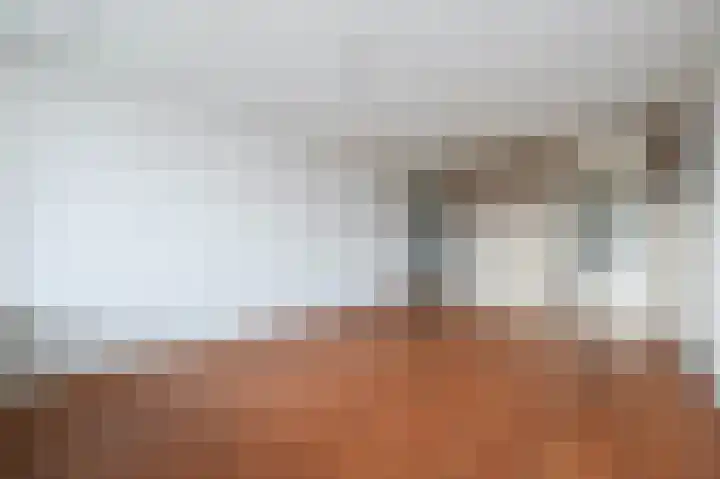 Rodelaan 153 Voorburg thumbnail 8