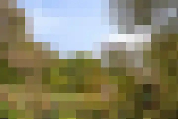 Rodelaan 171 Voorburg thumbnail 12