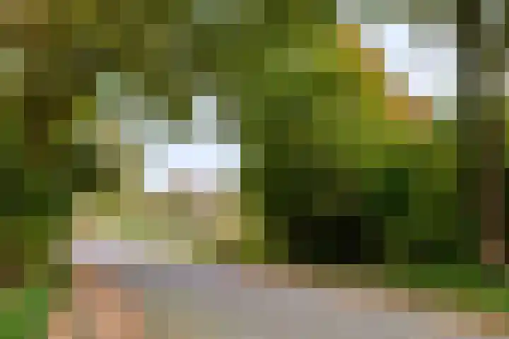 Rodelaan 171 Voorburg thumbnail 13