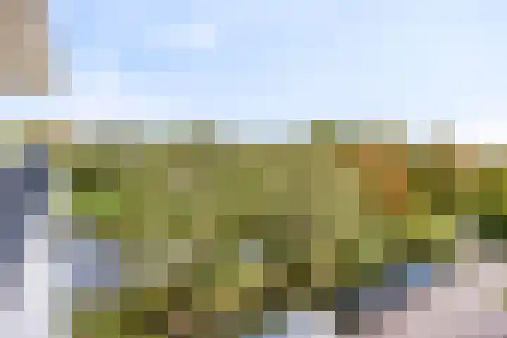 Rodelaan 171 Voorburg thumbnail 4