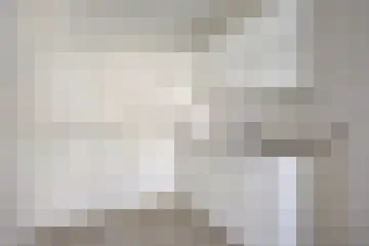 Rodelaan 171 Voorburg thumbnail 6
