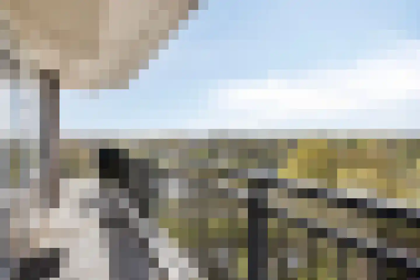 Rodelaan 201 Voorburg thumbnail 10