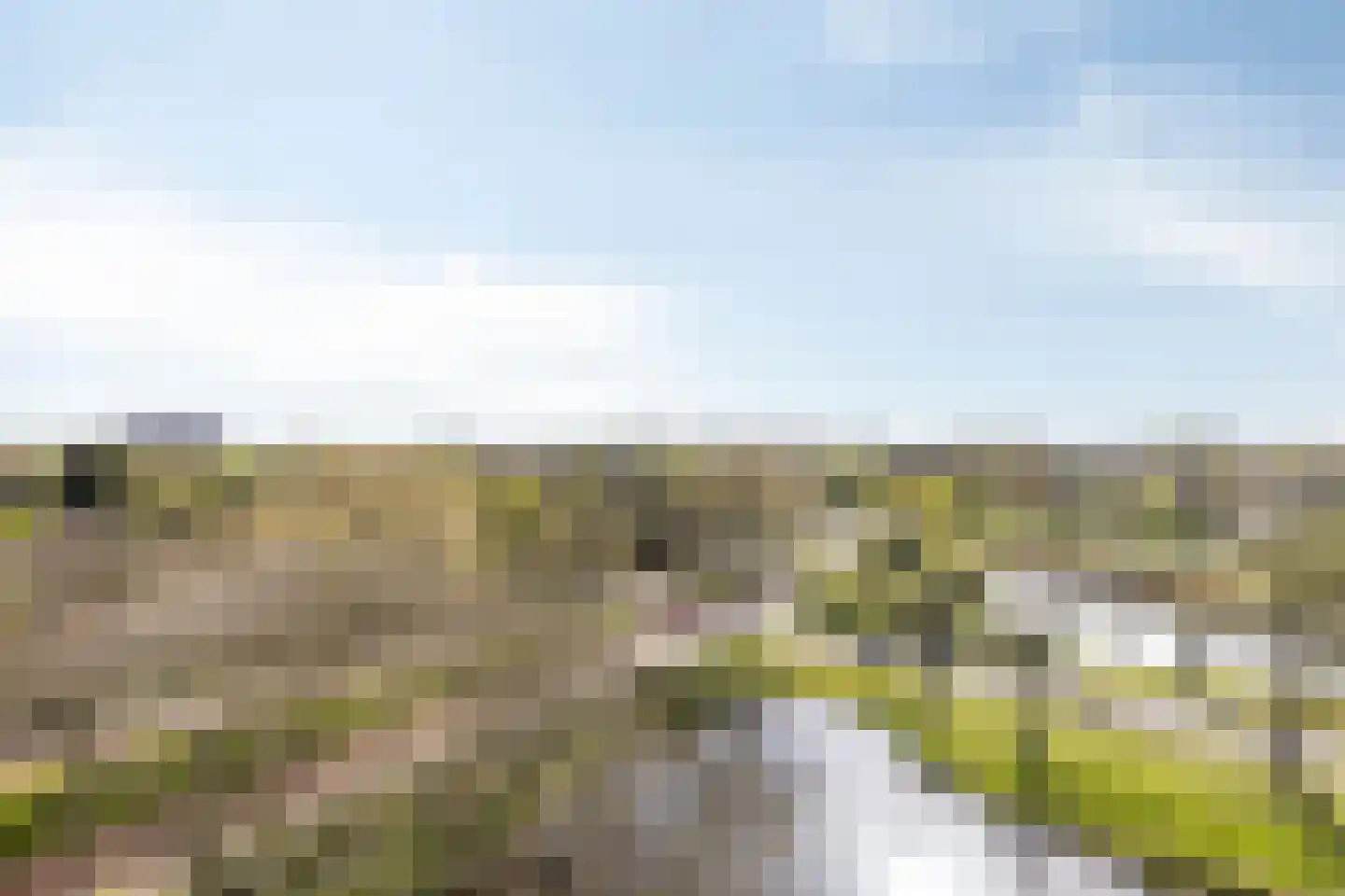 Rodelaan 201 Voorburg thumbnail 14