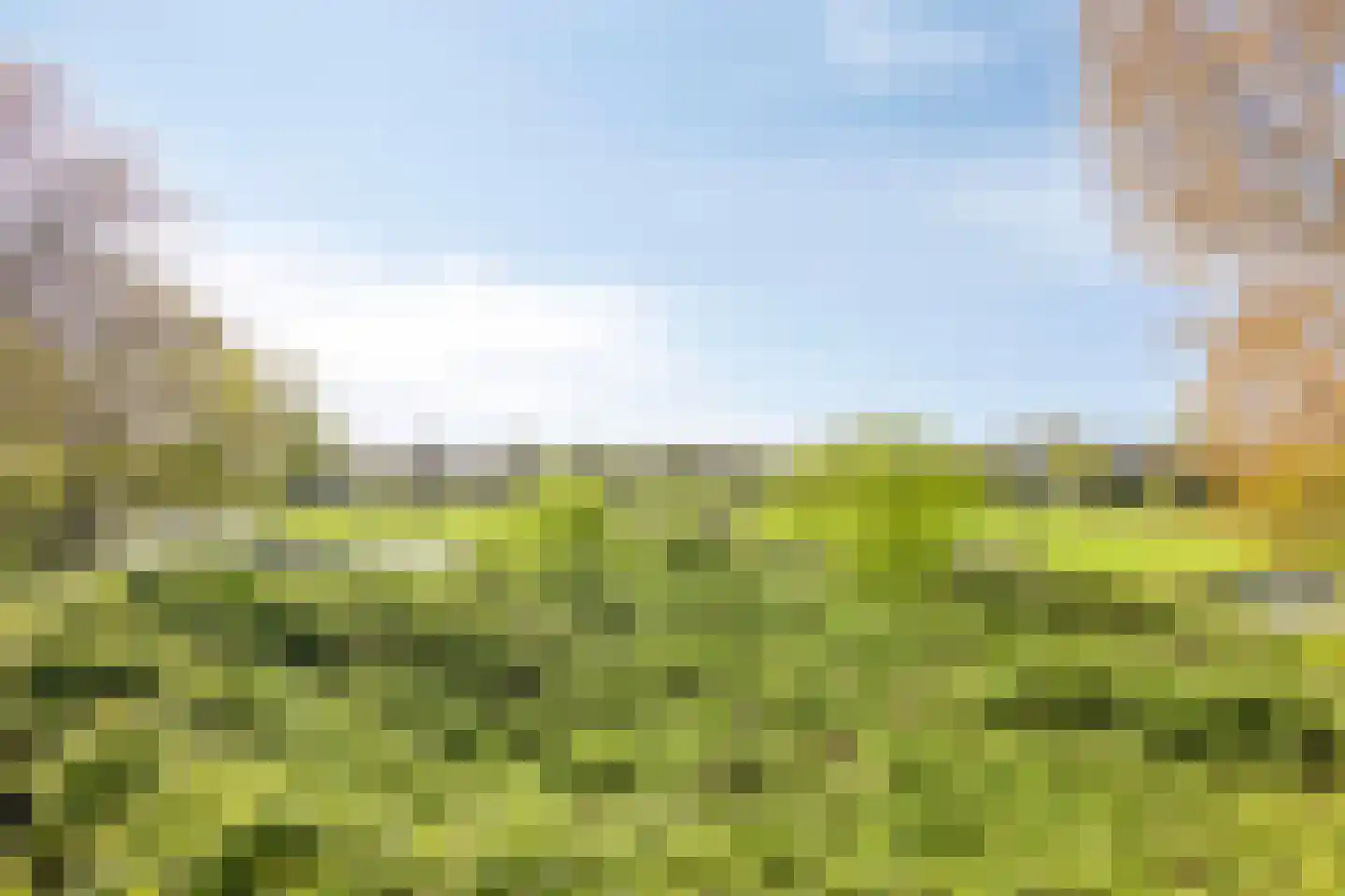 Rodelaan 201 Voorburg thumbnail 26