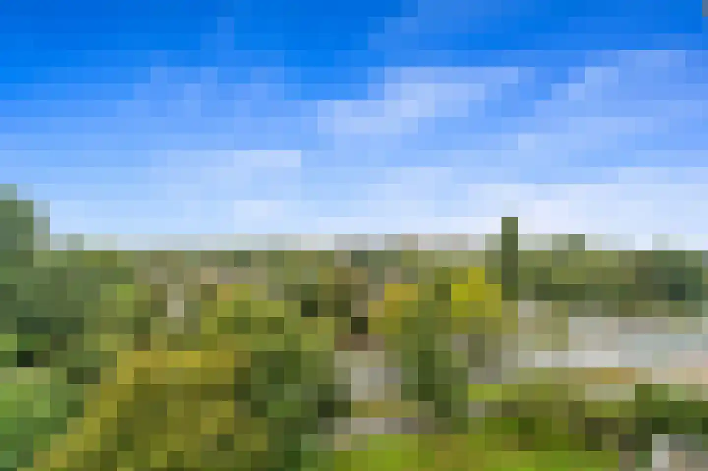 Rodelaan 207 Voorburg thumbnail 29