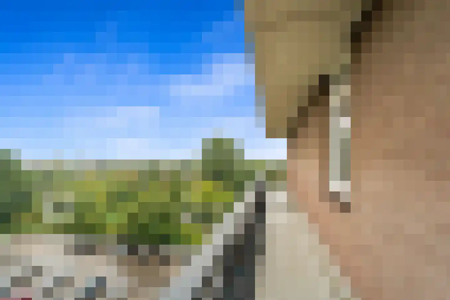 Rodelaan 207 Voorburg thumbnail 30