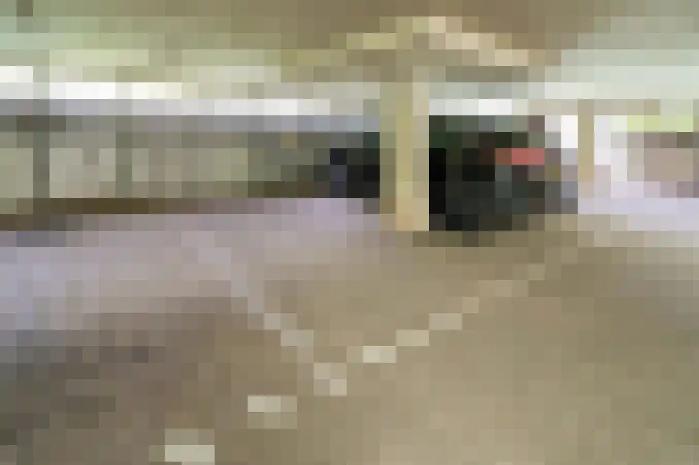 Rodelaan 207 Voorburg thumbnail 32