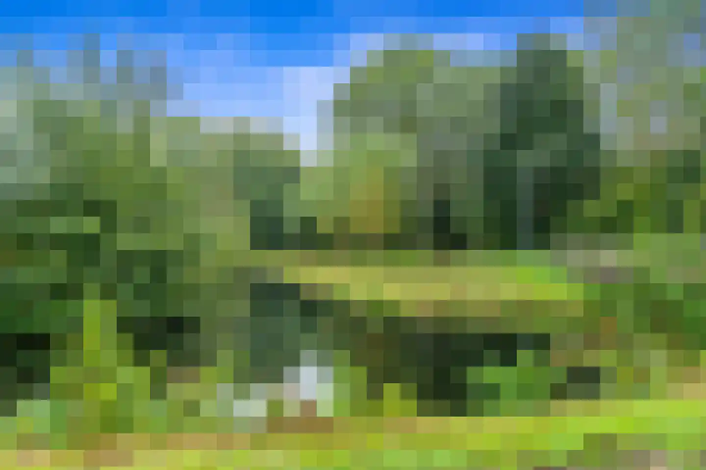 Rodelaan 207 Voorburg thumbnail 33