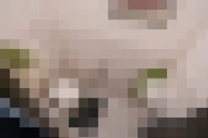 Rodelaan 211 Voorburg thumbnail 11
