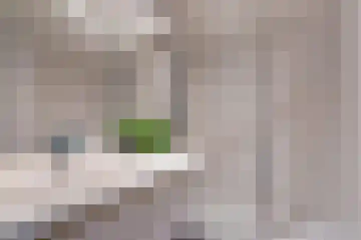 Rodelaan 211 Voorburg thumbnail 30