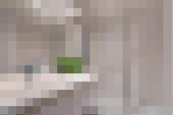 Rodelaan 211 Voorburg thumbnail 5