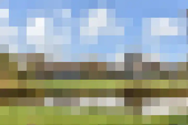 Rodelaan 231 Voorburg thumbnail 28