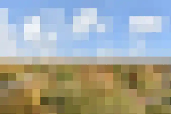 Rodelaan 231 Voorburg thumbnail 8