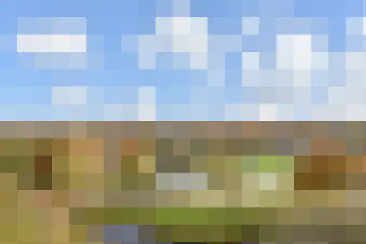 Rodelaan 231 Voorburg thumbnail 9