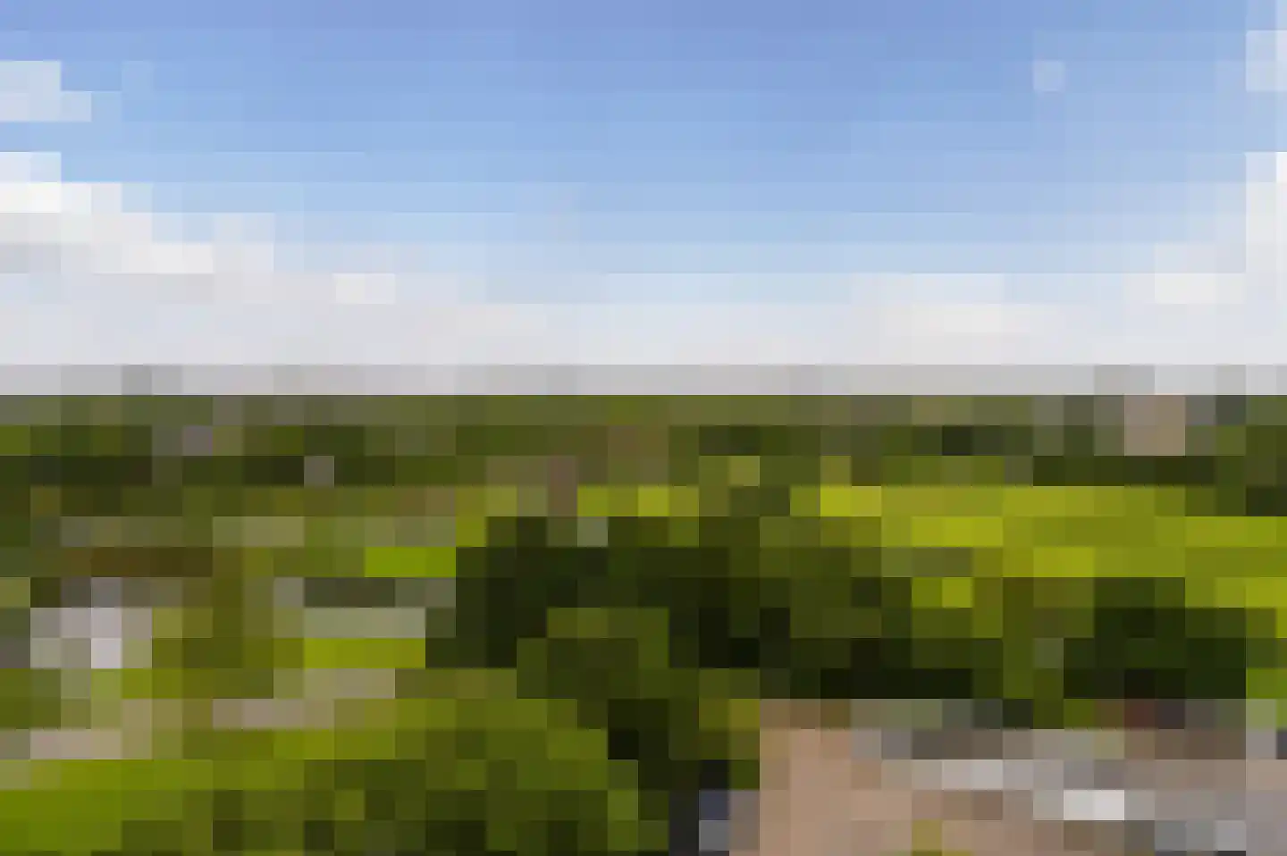 Rodelaan 267 Voorburg thumbnail 10