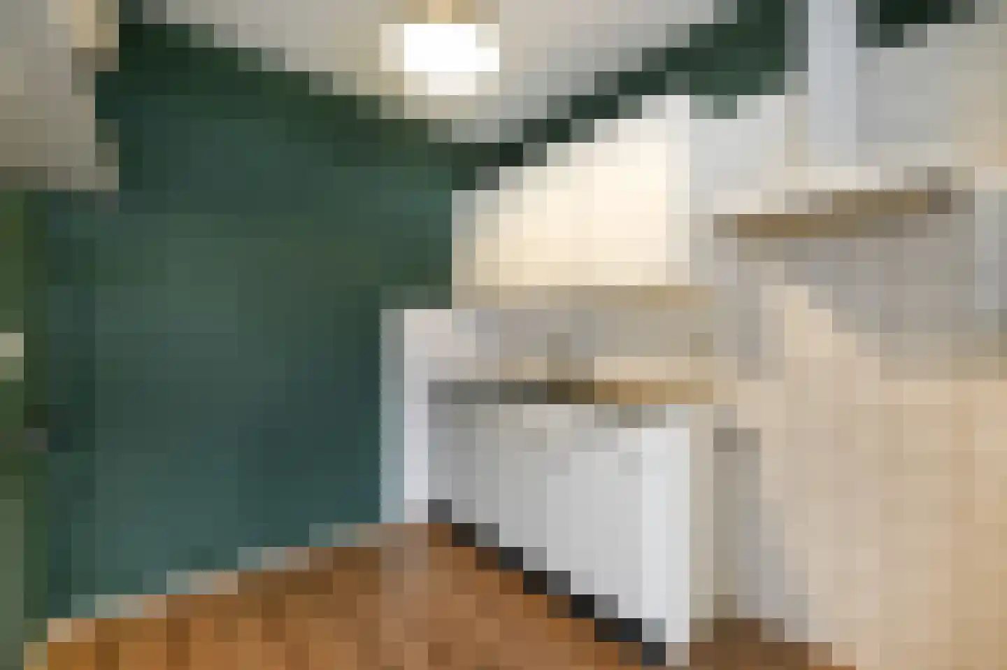 Rodelaan 267 Voorburg thumbnail 13