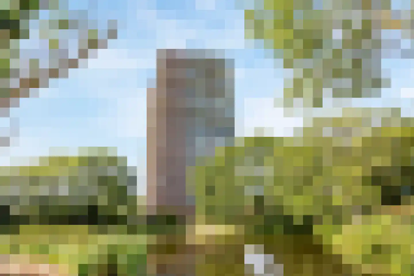 Rodelaan 277 Voorburg
