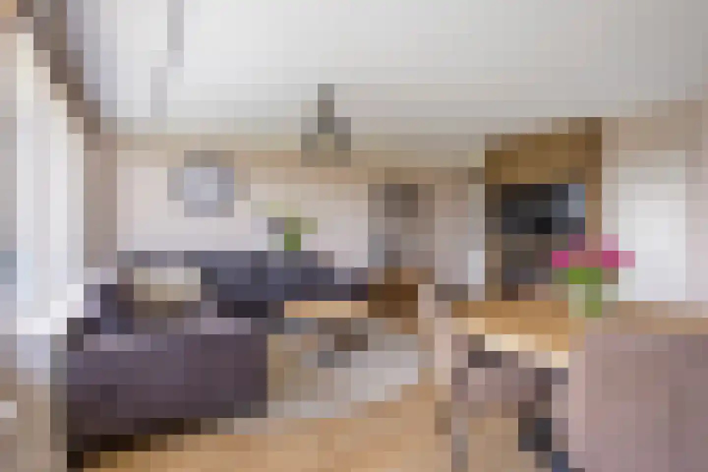 Rodelaan 277 Voorburg thumbnail 11