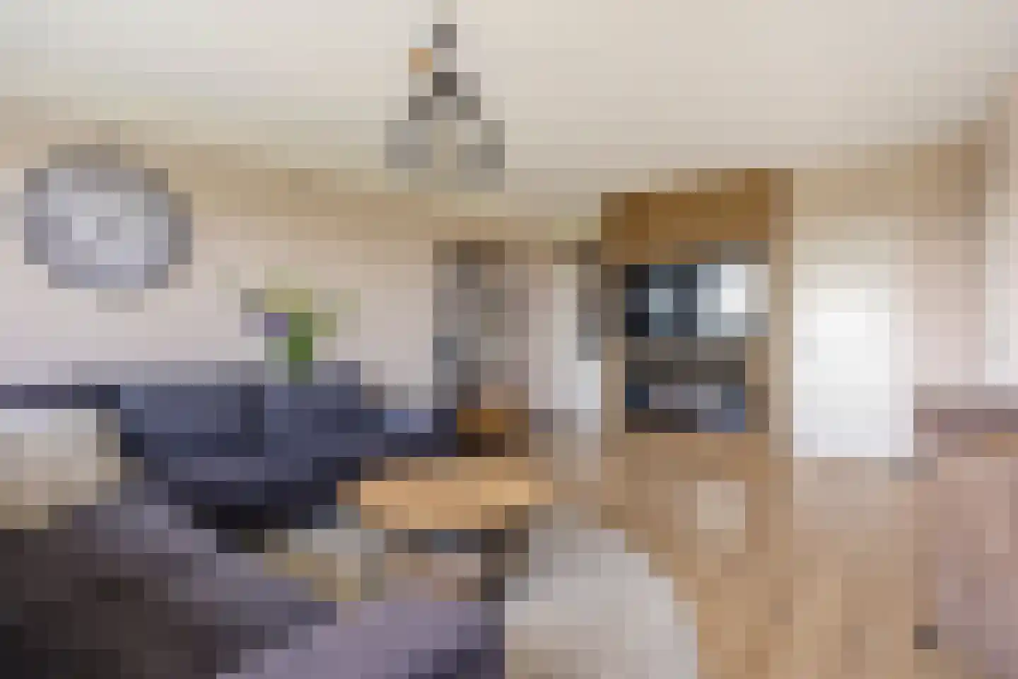 Rodelaan 277 Voorburg thumbnail 13