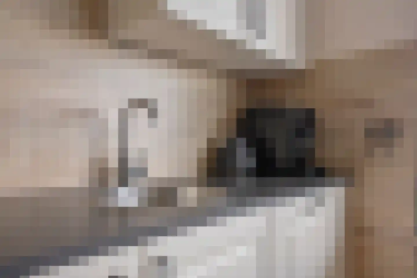 Rodelaan 277 Voorburg thumbnail 20