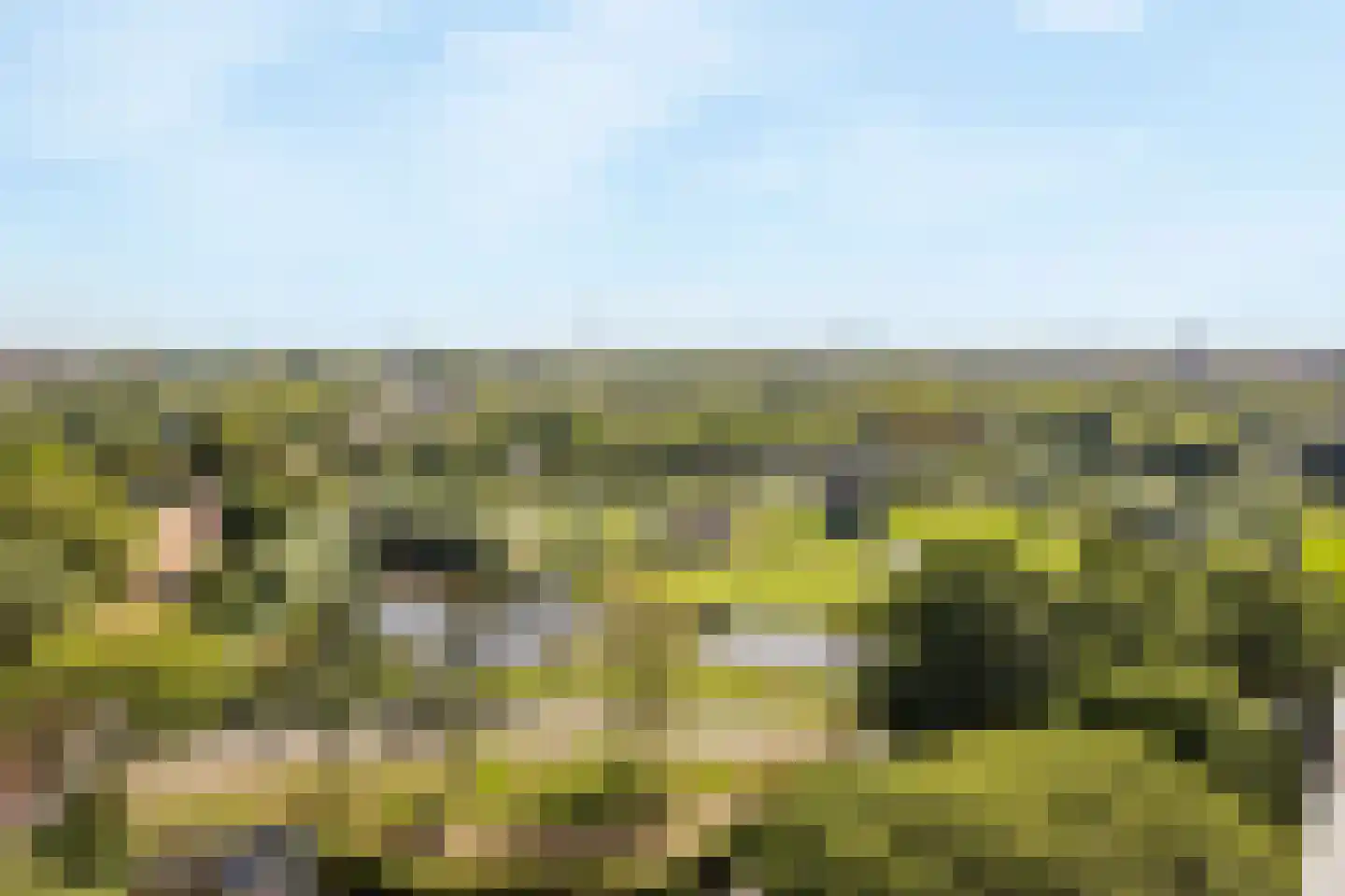 Rodelaan 277 Voorburg thumbnail 23