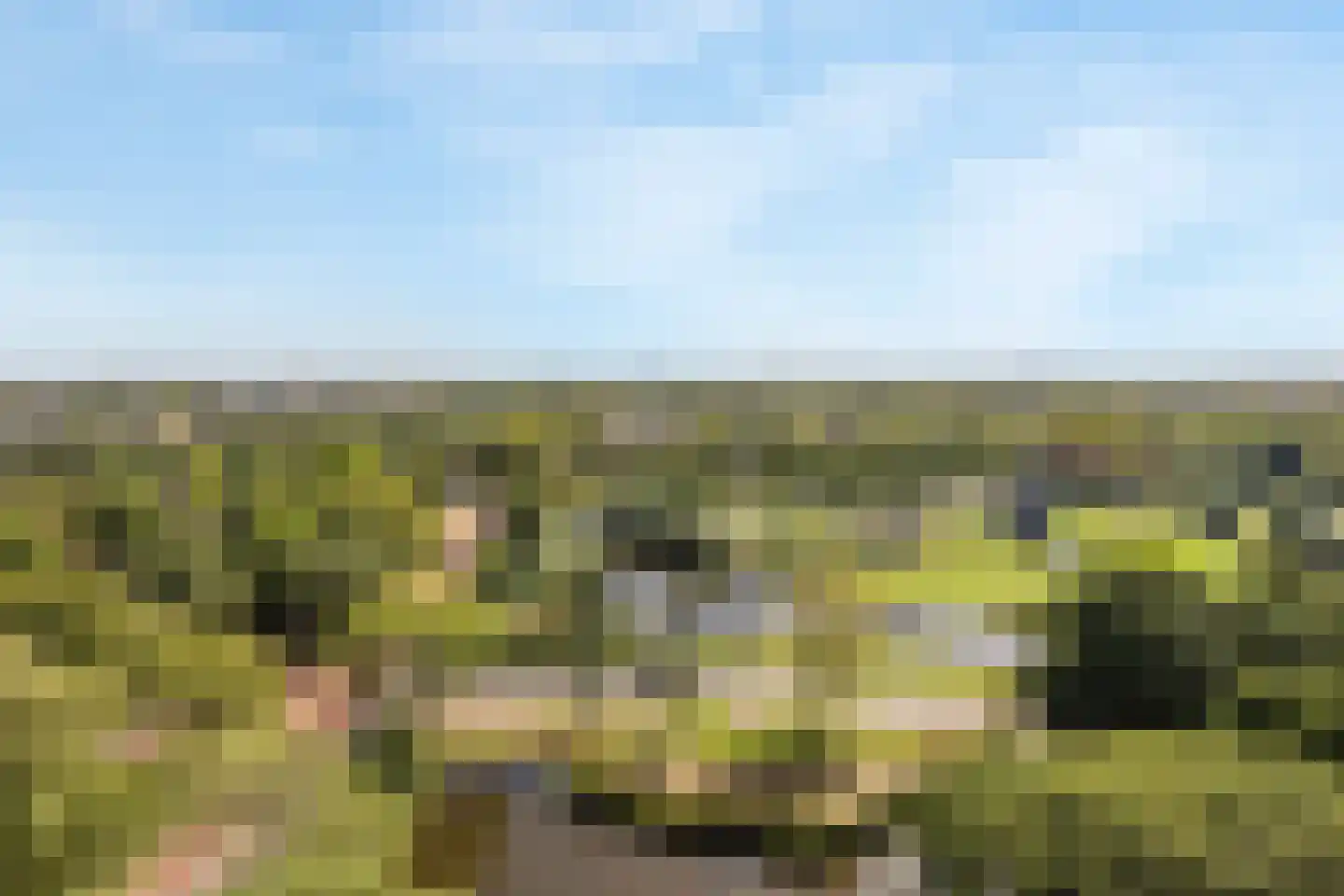 Rodelaan 277 Voorburg thumbnail 24
