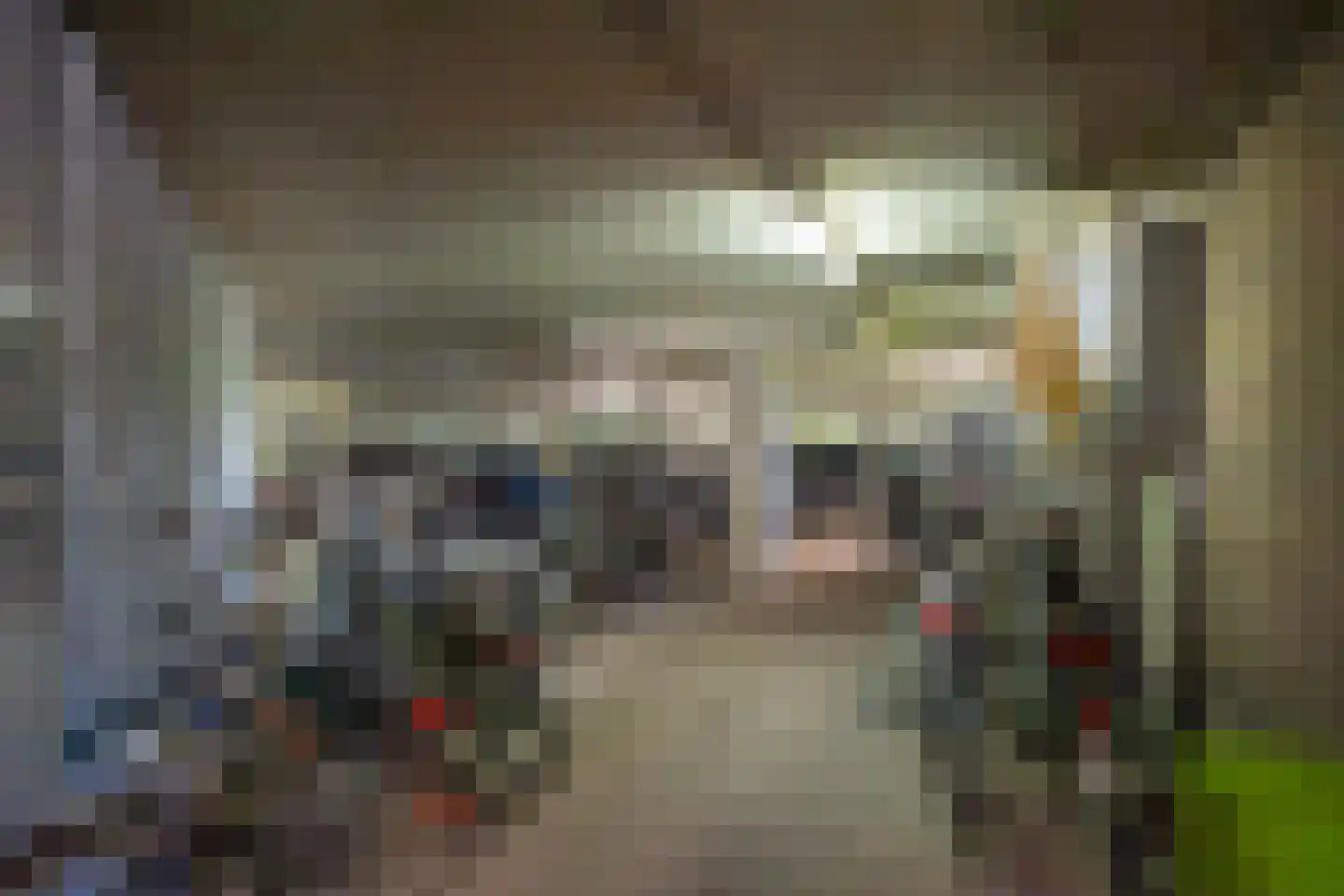 Rodelaan 277 Voorburg thumbnail 45