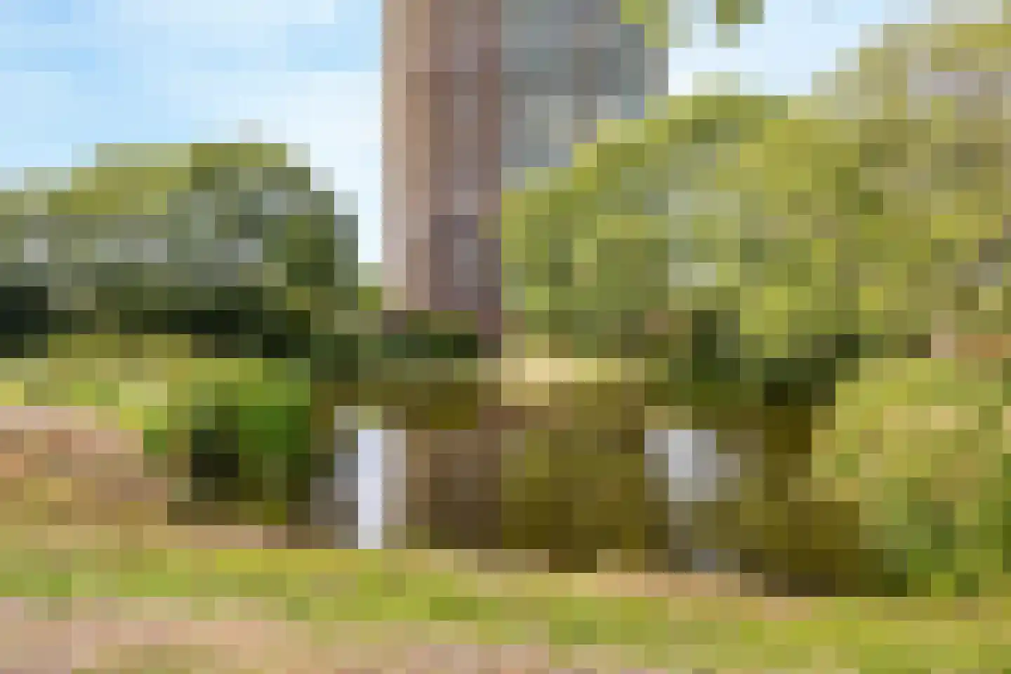 Rodelaan 277 Voorburg thumbnail 49