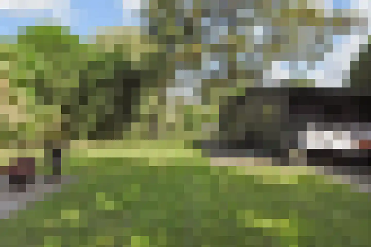 Rodelaan 30 Voorburg thumbnail 25