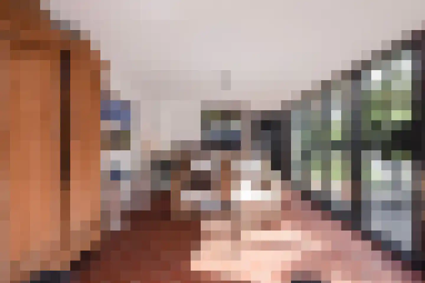 Rodelaan 30 Voorburg thumbnail 35