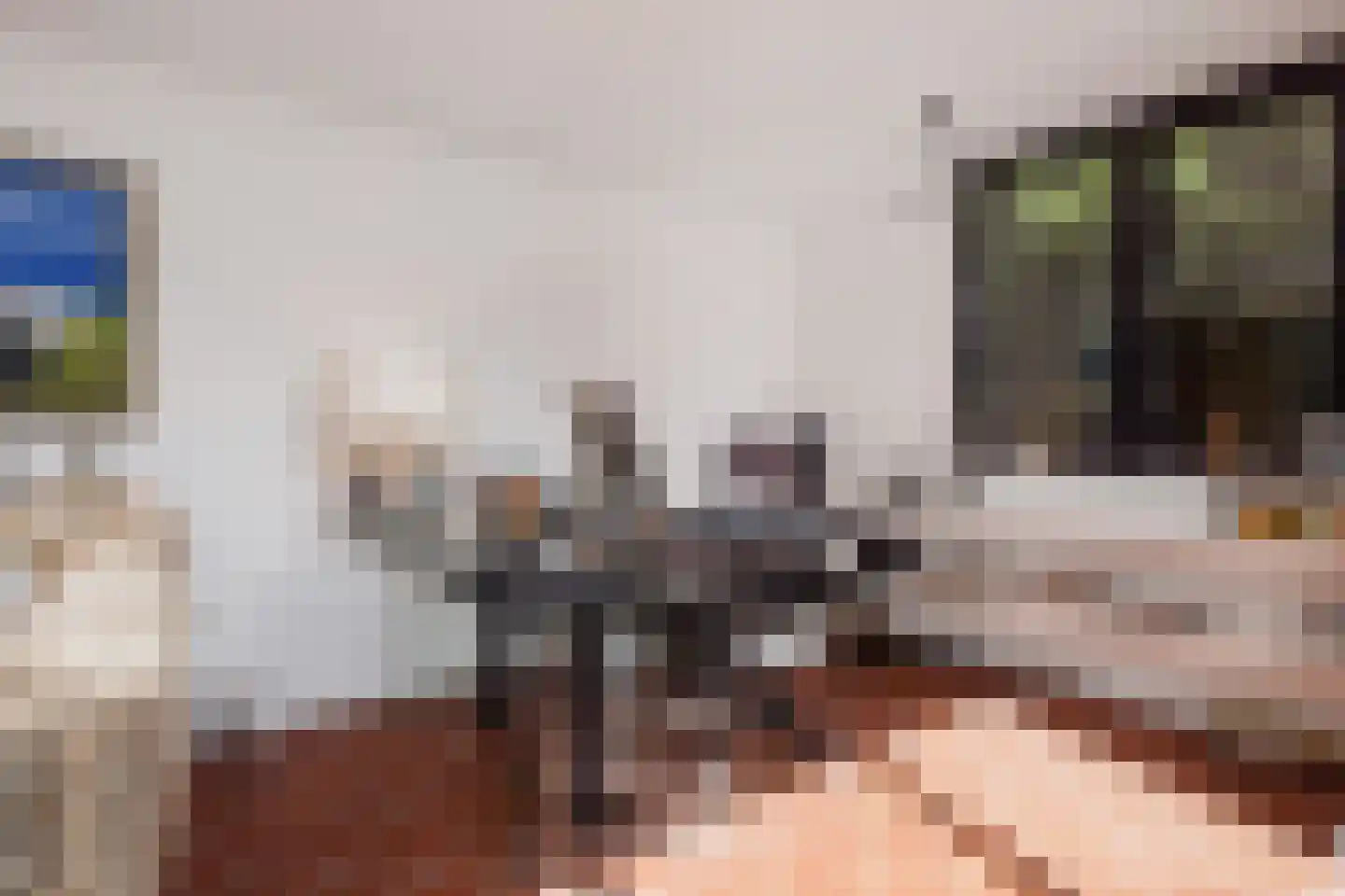 Rodelaan 30 Voorburg thumbnail 37