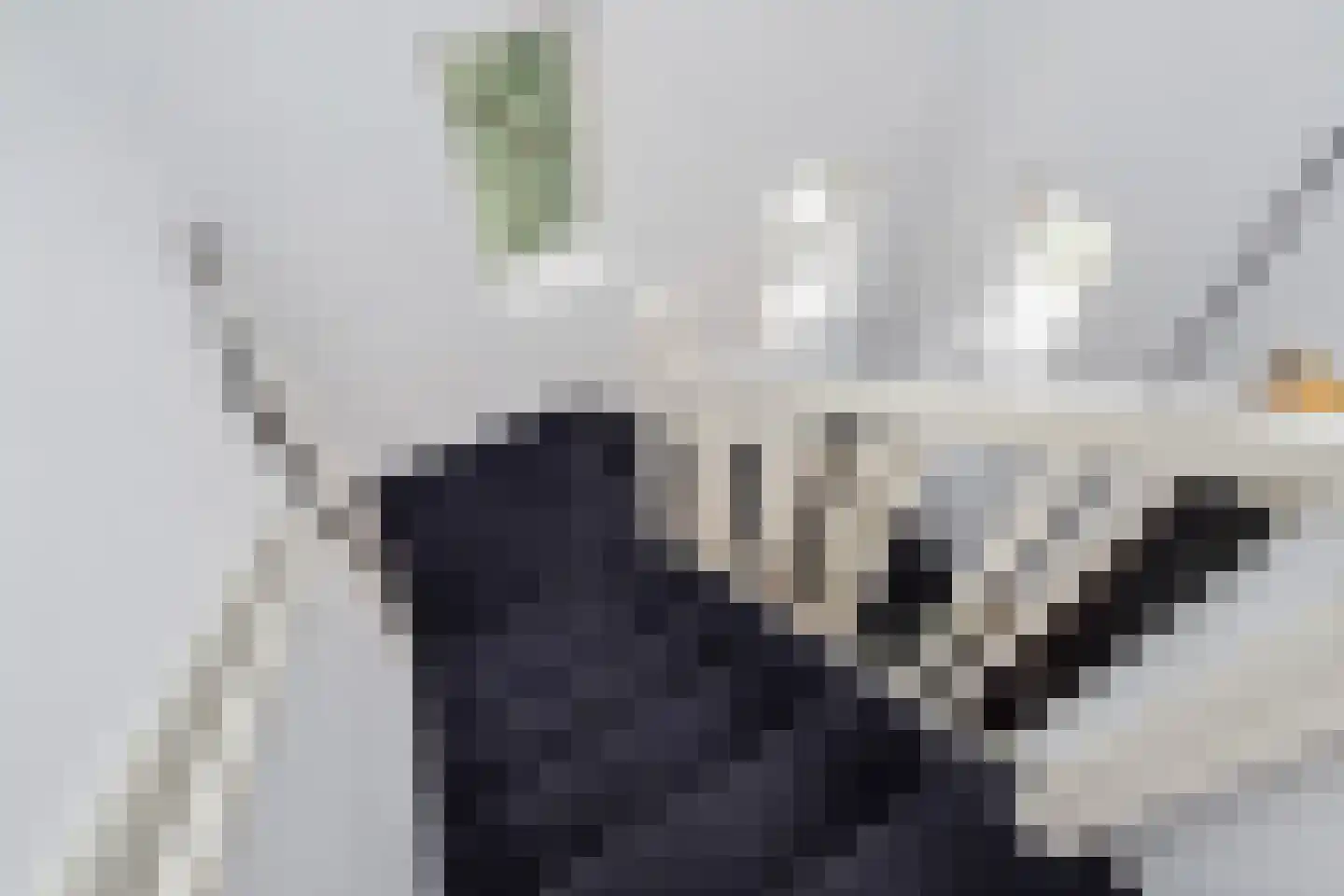 Rodelaan 30 Voorburg thumbnail 42