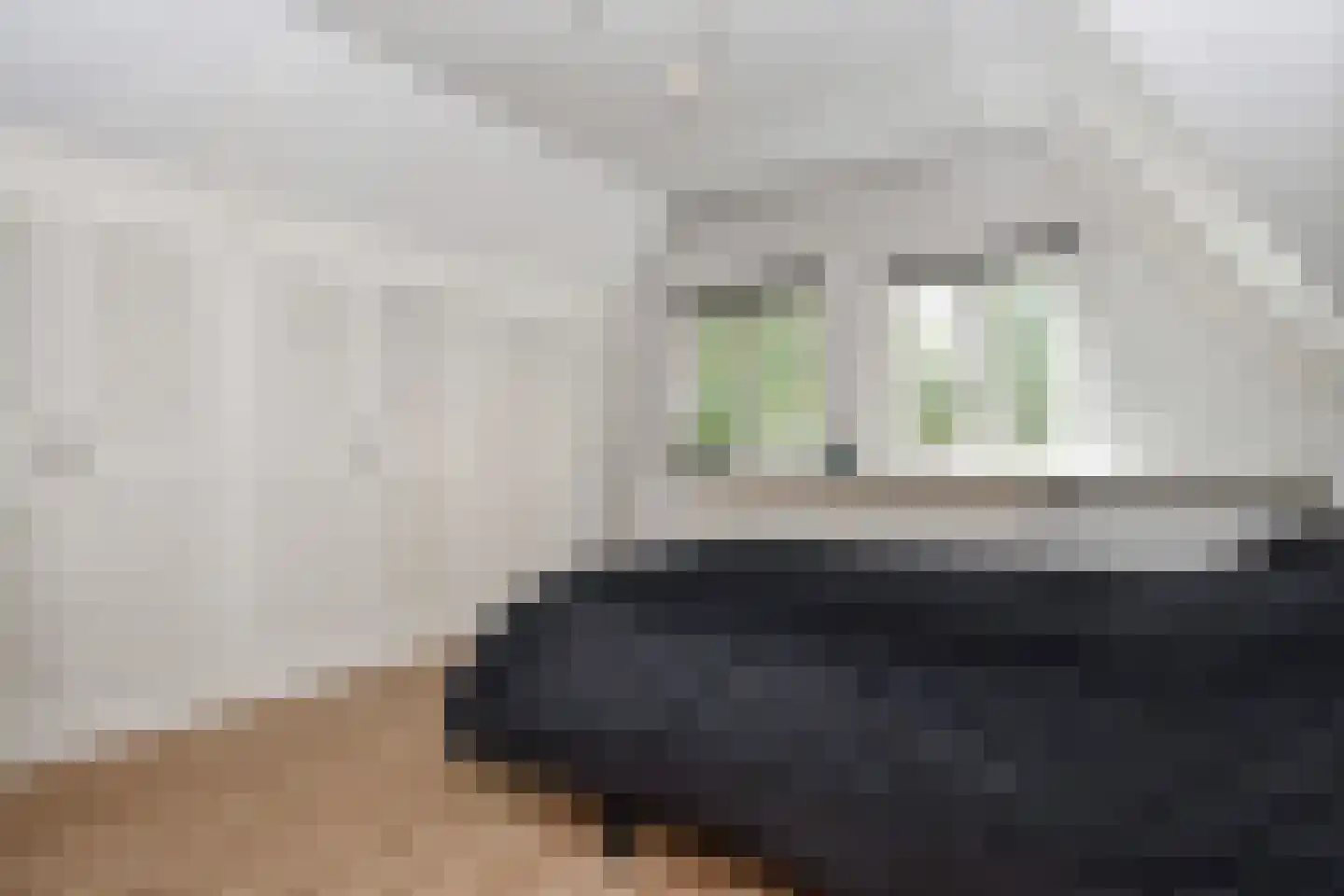 Rodelaan 30 Voorburg thumbnail 43