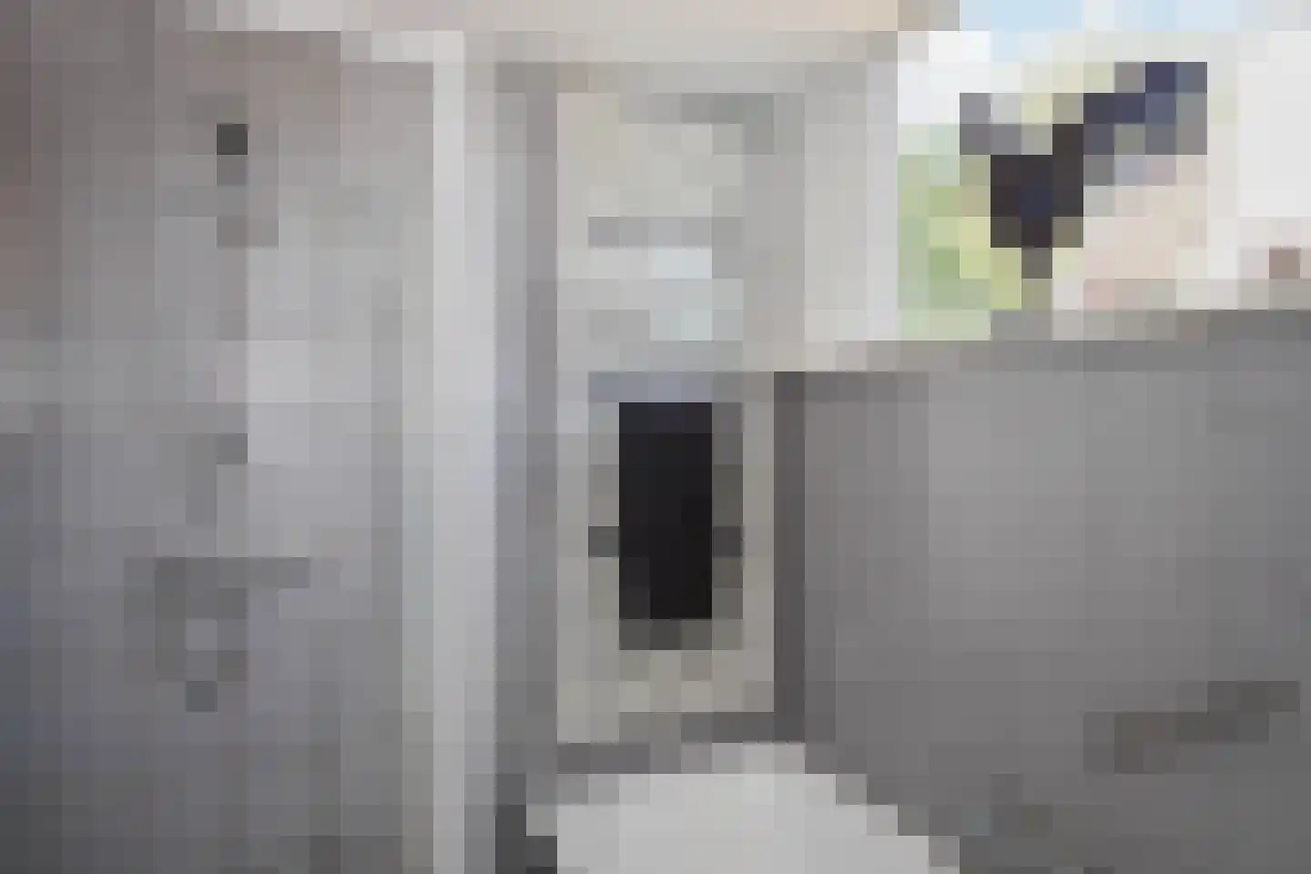 Rodelaan 30 Voorburg thumbnail 47