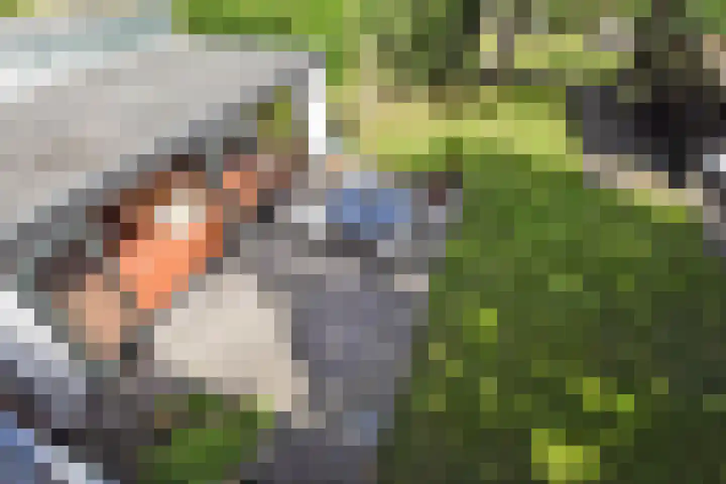 Rodelaan 30 Voorburg thumbnail 51