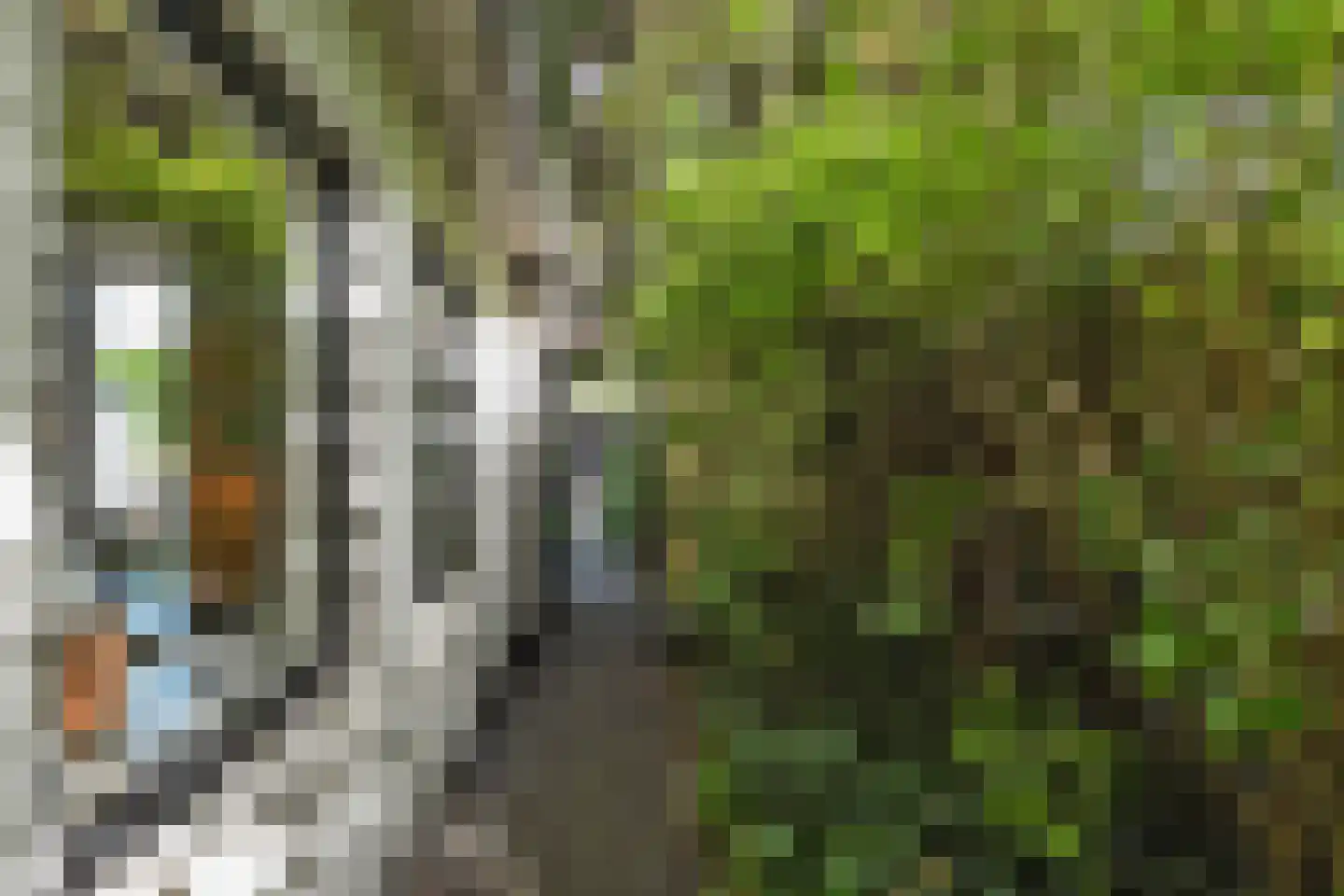 Rodelaan 30 Voorburg thumbnail 54