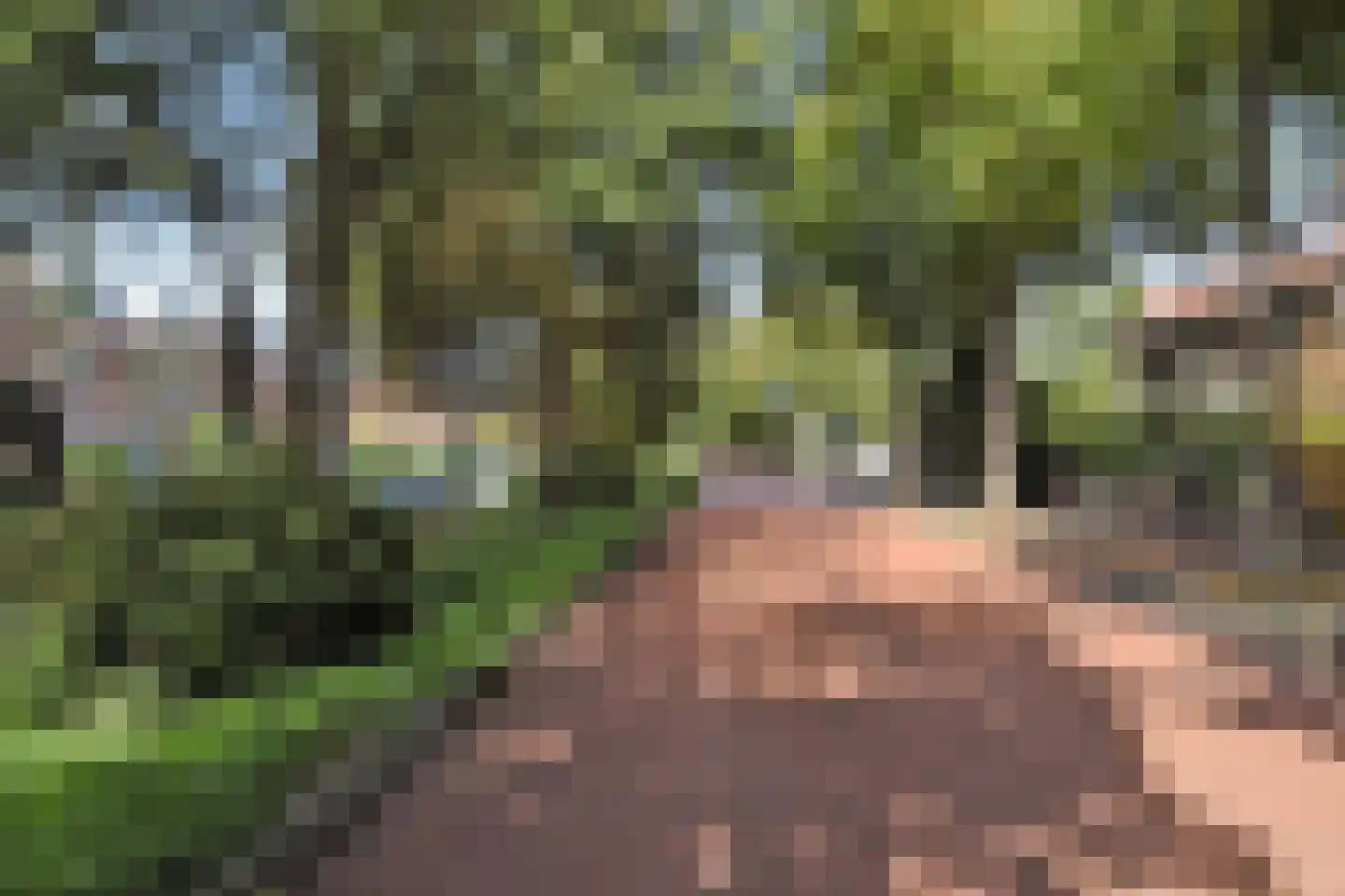 Rodelaan 30 Voorburg thumbnail 57