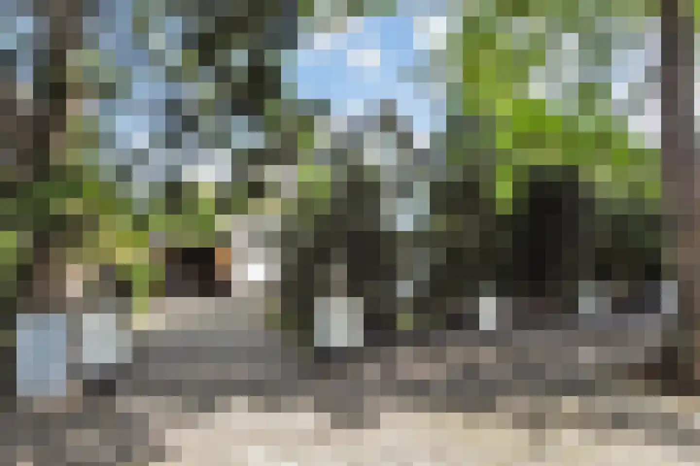 Rodelaan 30 Voorburg thumbnail 7