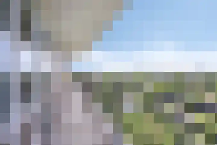 Rodelaan 303 Voorburg thumbnail 12