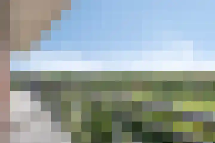 Rodelaan 303 Voorburg thumbnail 14