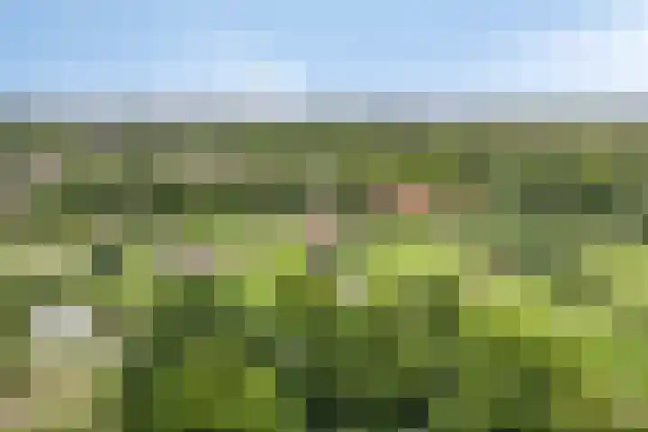 Rodelaan 303 Voorburg thumbnail 19
