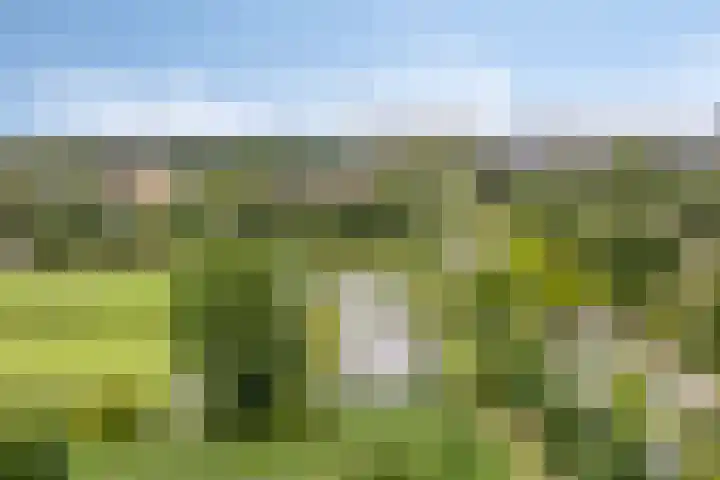 Rodelaan 303 Voorburg thumbnail 20
