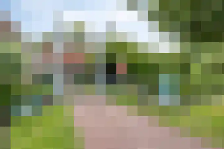 Rodelaan 303 Voorburg thumbnail 22