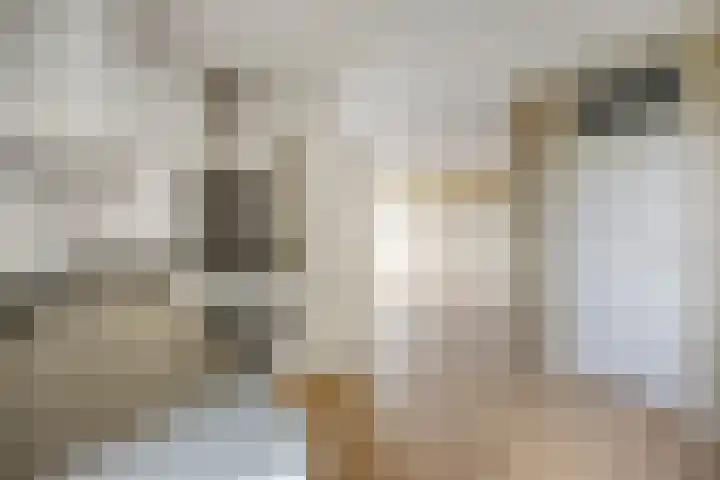 Rodelaan 303 Voorburg thumbnail 5