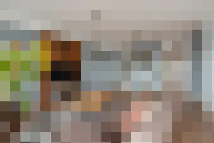 Rodelaan 309 Voorburg thumbnail 13