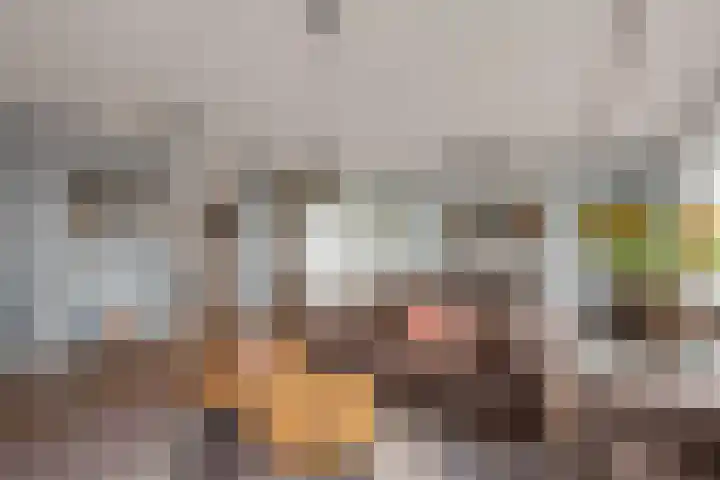 Rodelaan 309 Voorburg thumbnail 15