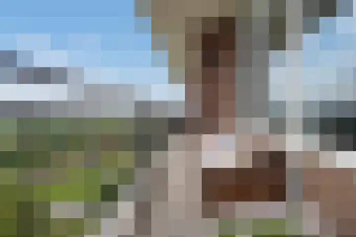 Rodelaan 309 Voorburg thumbnail 19
